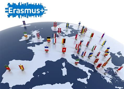 Erasmus Guide 的图像结果