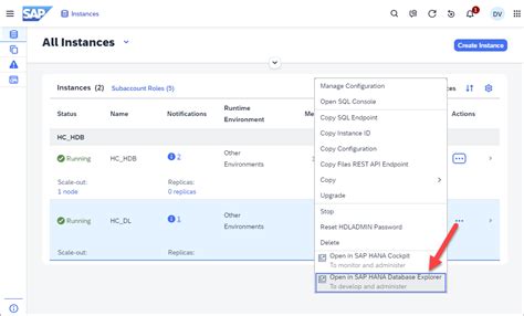 SAP HANA Cloud, Data Lake Client Interfaces Overview | SAP Tutorials