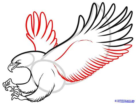 Image result for How to Draw Parrot Flying