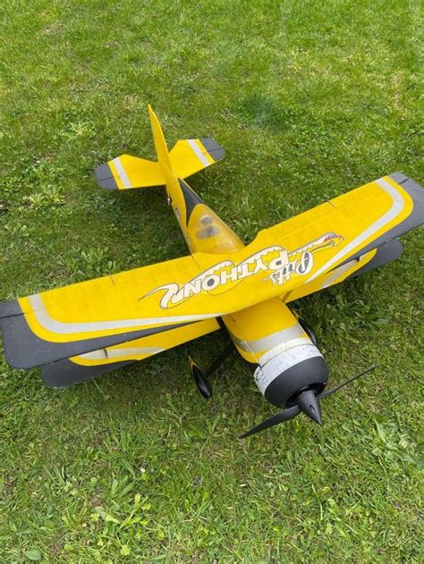 Image result for Dynam Pitts Python