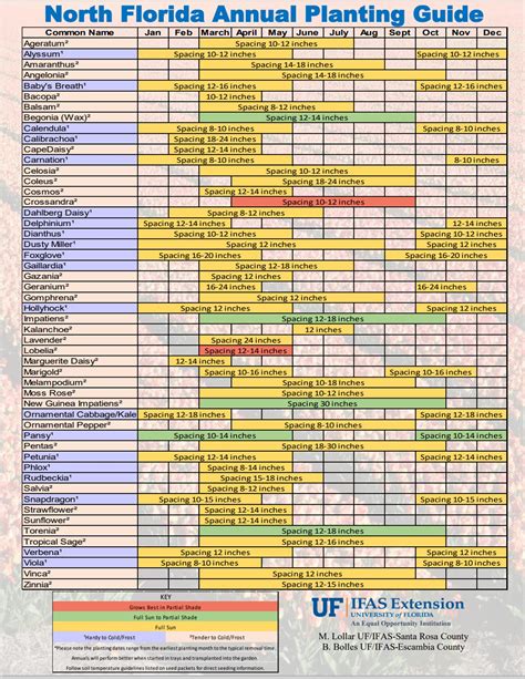 National Planting Chart Zone 6 Planting Schedule: Visual Spring