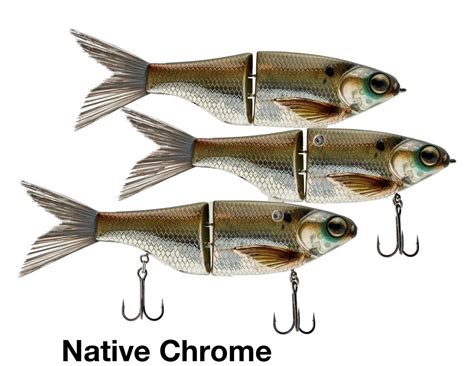 SPRO KGB Chad Shad Glide Bait K Rig | Koy’sTackleBox