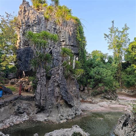 STONE FOREST OF CHONGZUO (2025) All You Need to Know BEFORE You Go ...