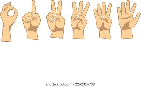 Digit 的图像结果