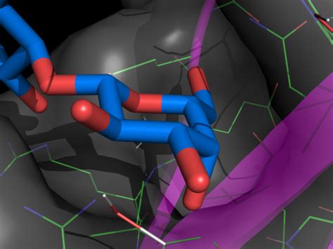 Image result for PyMOL Ray Tracing