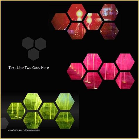 Sample Flash Intro 的图像结果