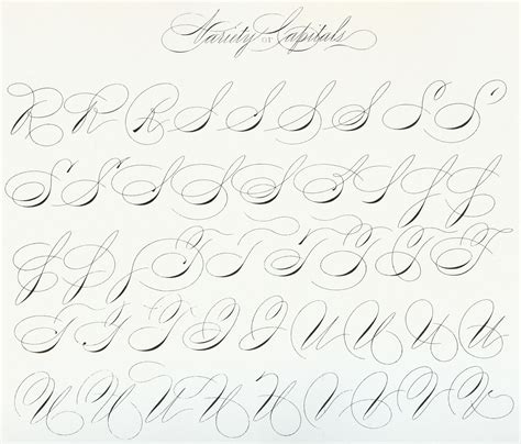 Image result for Spencerian Script Handwriting Style