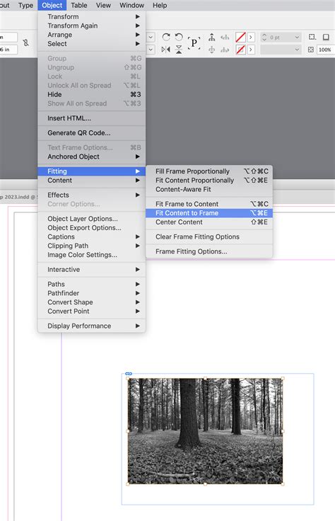 Image result for InDesign Resize Images Controls