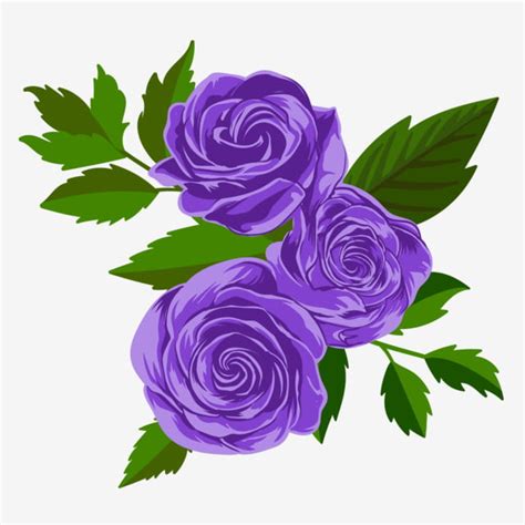 Image result for Working Computer Screen