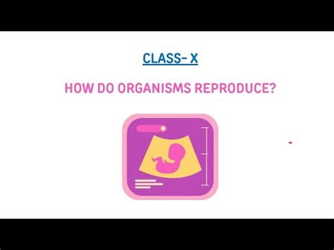 Quick Revision Asexual Reproduction Video Lecture - Science Class 10