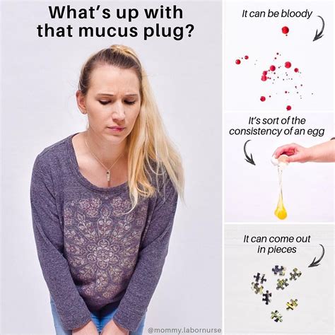 33++ Mucus plug and role in labor information | Build a Harmonious Family for Future