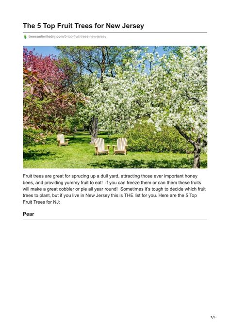 PPT - The 5 Top Fruit Trees for New Jersey - Trees Unlimited LLC ...
