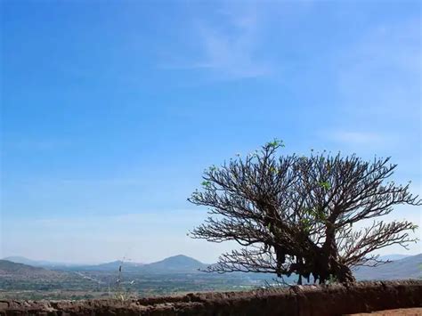 6 enchanting long weekend getaways from Mumbai in March - Lonavala and ...