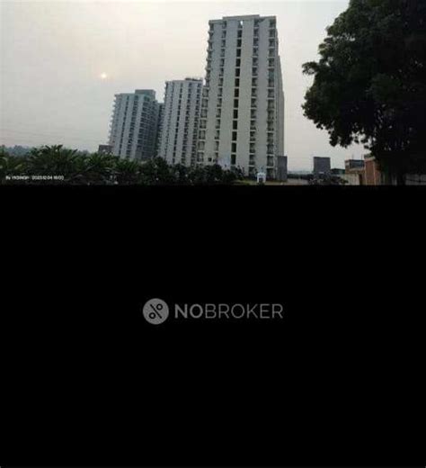 DLF Phase 3, Gurgaon - Map, Pin Code, & Property Rates 2025