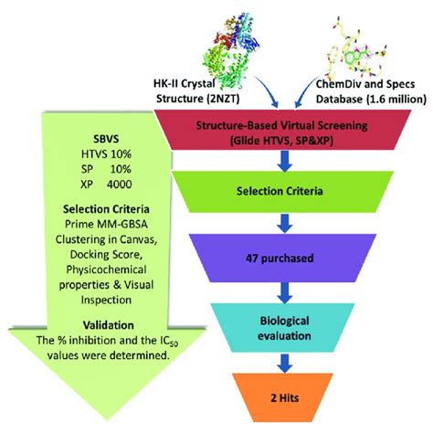 Image result for PyRx Virtual Screening Tool