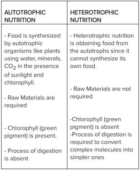 Differentiate between autotrophic nutrition and heterotrophic nutrition ...
