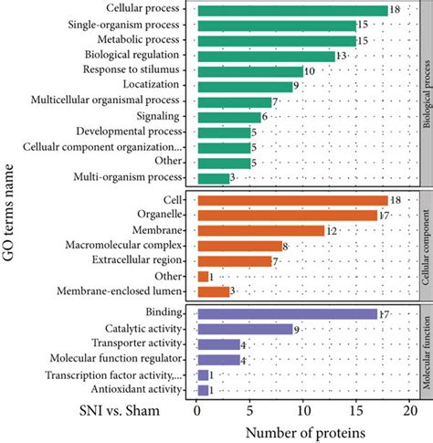 Image result for Go Annotation Analysis Step
