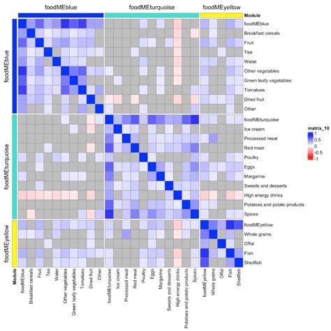 Maternal Diet Associates with Offspring Bone Mineralization, Fracture ...