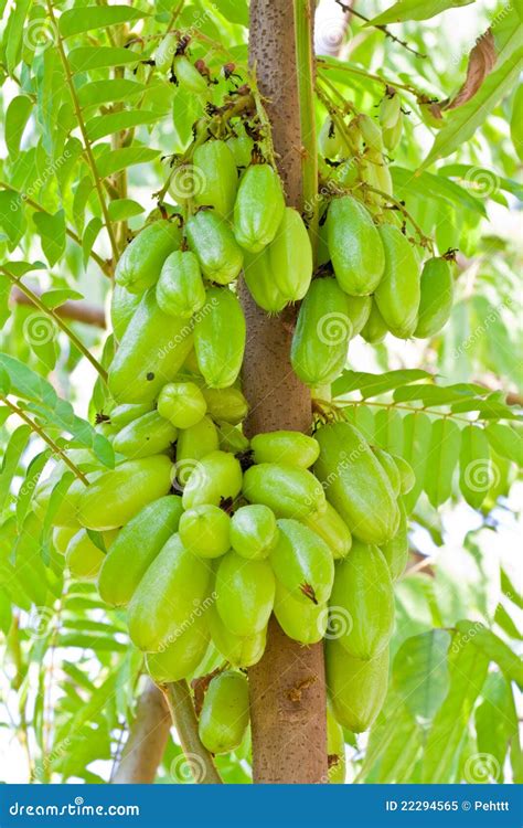 Image result for Just Increasing Function Graph