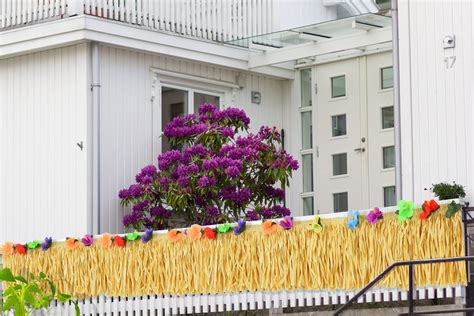 Buy Isla Hawaiian Grass Table Skirt for Luau Party Decorations,Raffia ...