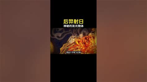 Fetch Function in Python 的图像结果