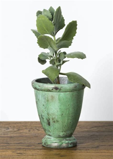 Get Verdi Planter Vase (Green) at ₹ 850 | LBB Shop