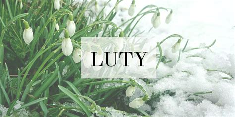 LUTY w ogrodzie / PRZEDWIOŚNIE - Kalendarz Prac Ogrodniczych