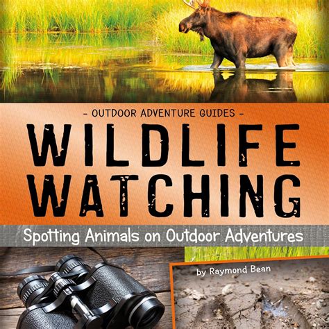 Wildlife Watching: Spotting Animals on Outdoor Adventures: Outdoor ...