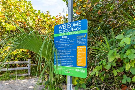 About North Beach | Schools, Demographics, Things to Do - Homes.com