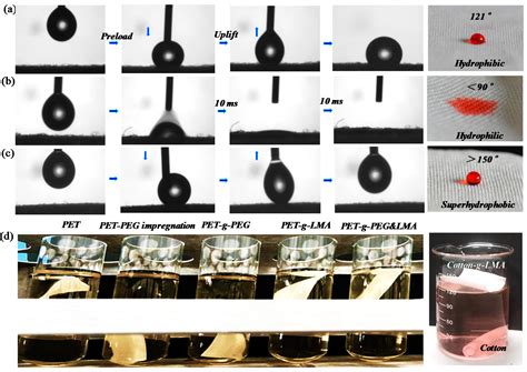 The Effect of Hydroxyl on the Superhydrophobicity of Dodecyl ...
