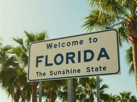 Image result for Renew License Plate Sticker