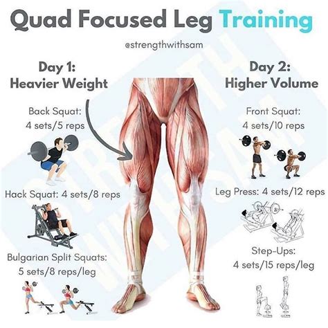 glute and quad workout gym
