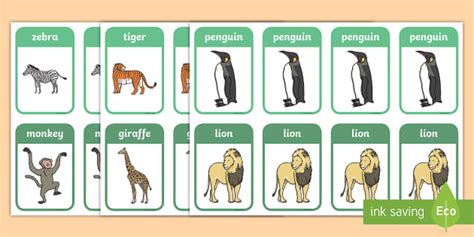 Zoo Vocabulary Snap Cards