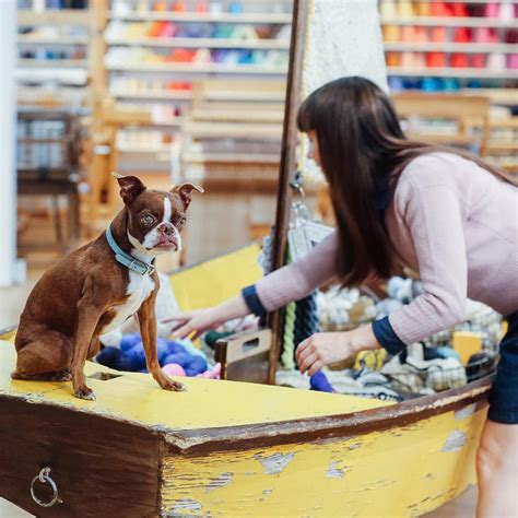 CAST AWAY YARN SHOP (2024) All You Need to Know BEFORE You Go (with ...