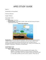 Image result for APES Crash Course