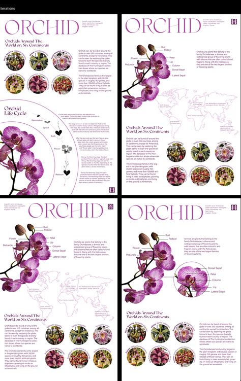 Orchid Infographic - The Huntington Gardens :: Behance