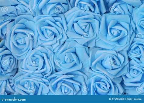 Light blue rose flowers. stock photo. Image of decor - 175486782