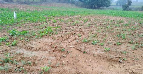 Dried Wells, Broken Dams, Distressed Villagers Define UP's Multi-Crore ...