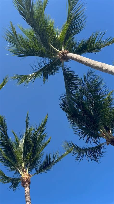 10 Healthy No Bake Breakfasts — Vita Vie Retreat