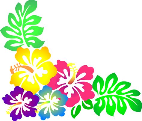 Hawaiian Flower Clip Art Borders