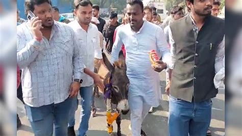 NSUI Protest: रानी दुर्गावती यूनिवर्सिटी में दिखा अनोखा प्रदर्शन, यहां ...
