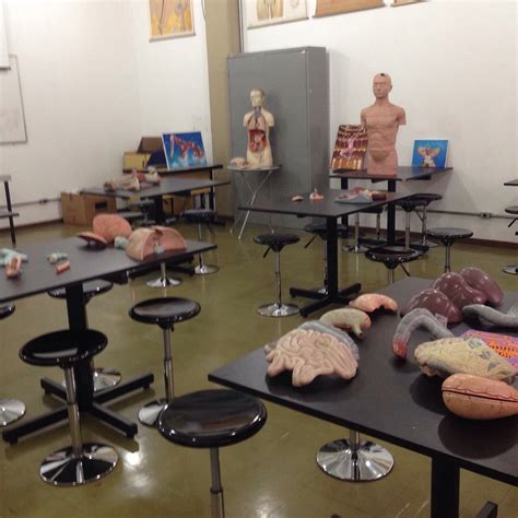 ANATOMY MUSEUM (2026) All You Need to Know BEFORE You Go (with Photos ...