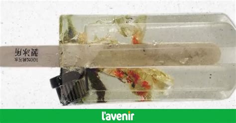 VIDÉO | Des esquimaux à base d'eau polluée et de déchets - L'Avenir