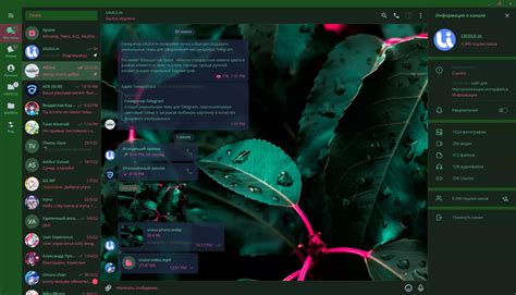 Тема зеленый и пурпурный для Telegram скины