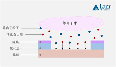 Drupal Programming Tutorial 的图像结果