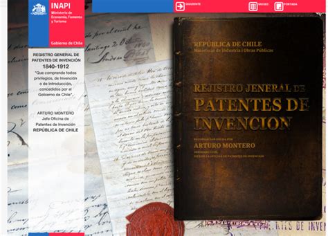 Image result for Inapi Chile