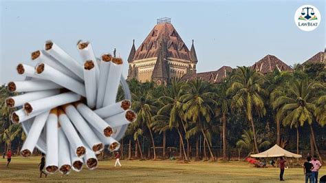 Bombay High Court Rejects PIL Seeking FIR Against Celebrities for ...