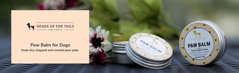 Paw Butter for Dogs Online India at Best Prices - 100% Organic | HUFT ...