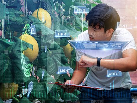 Vr农业 的图像结果