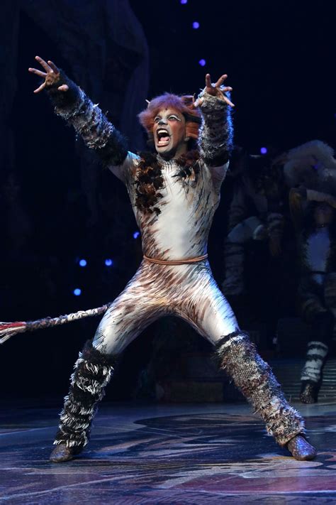 Cats The Musical Costumes Cats (Video 1998) User Reviews IMDb